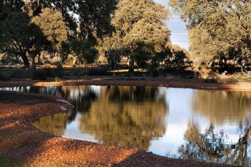 Casa Rural Finca Requejo Cerca De Benavente Tr 49426 Manganeses de la Polvorosa 외부 사진