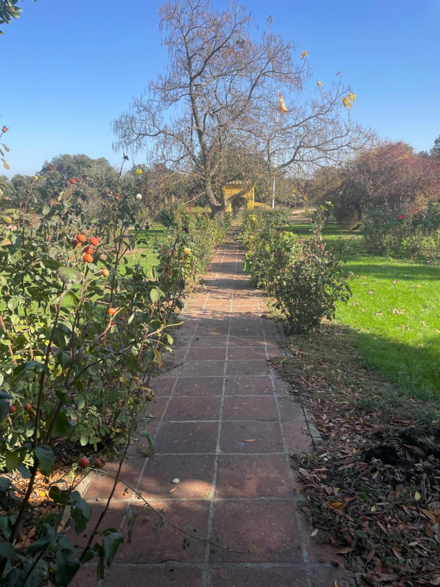 Casa Rural Finca Requejo Cerca De Benavente Tr 49426 Manganeses de la Polvorosa 외부 사진
